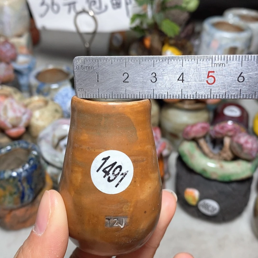 花盆拍5送一个小礼物