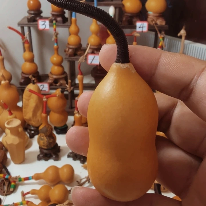 小*炭我的朋友们真的超级