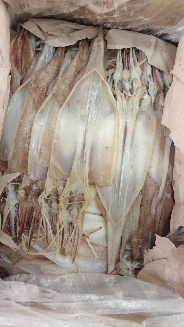 特产潮汕本港鱿鱼干去皮芥末干货家用大号鱿鱼500G干鱿鱼煲汤炒菜