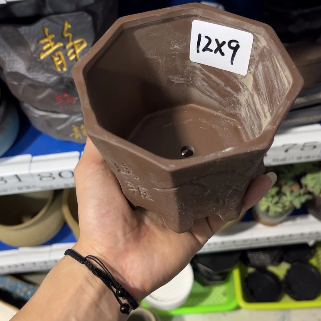 1个［当天满9元包邮24小时发］