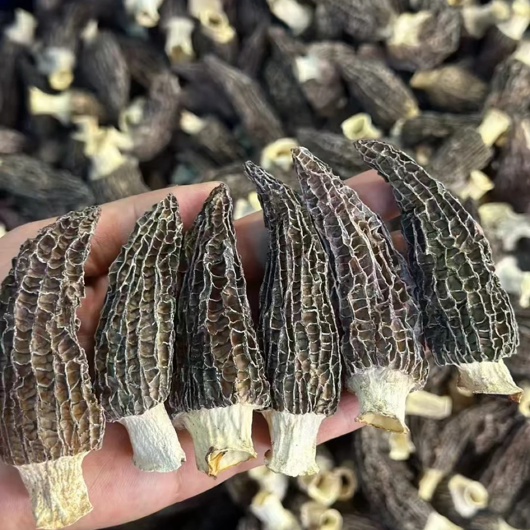 头茬新货云南高山羊肚菌干货炖汤煲汤食材