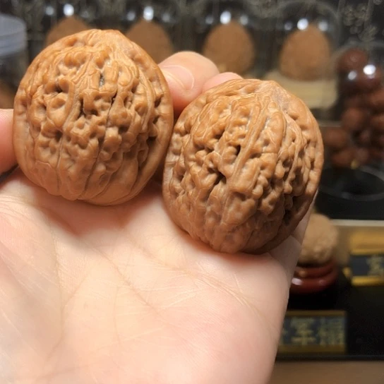 今日福利：原桩莲花