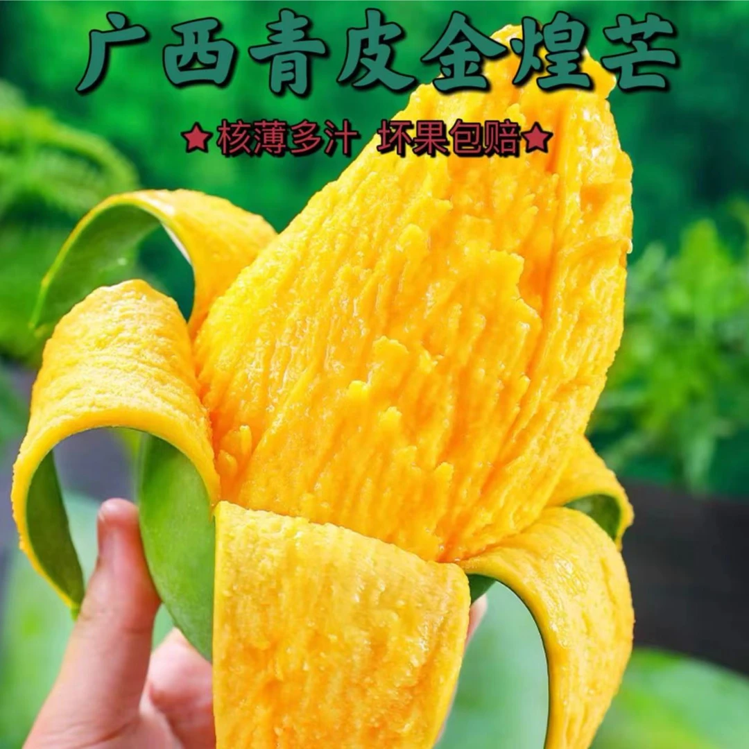 【放软食用】B广西百色金煌芒果5斤9斤核薄肉厚香甜多汁坏果包赔