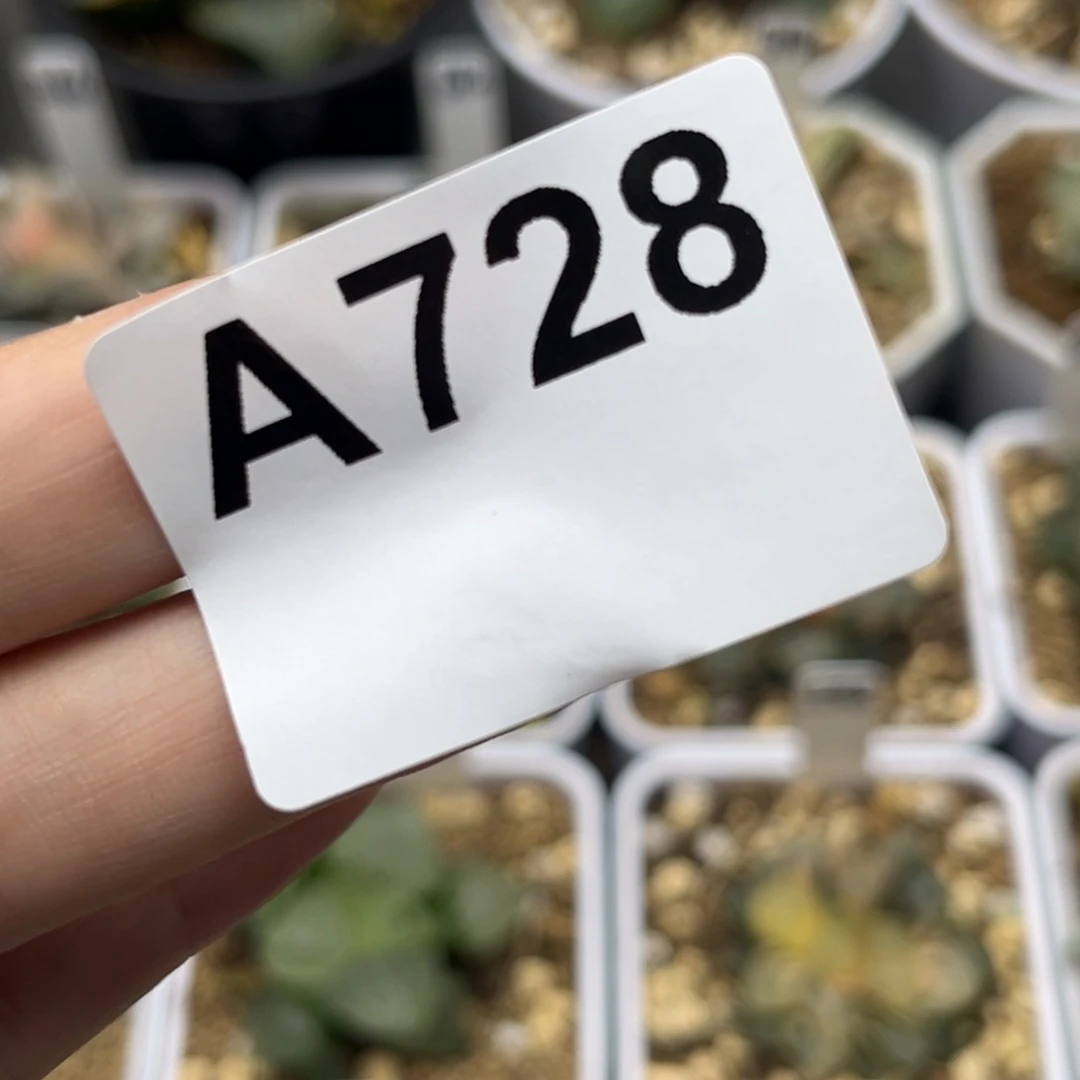 我****鱼728补差价哈哈哈哈哈哈哈哈哈