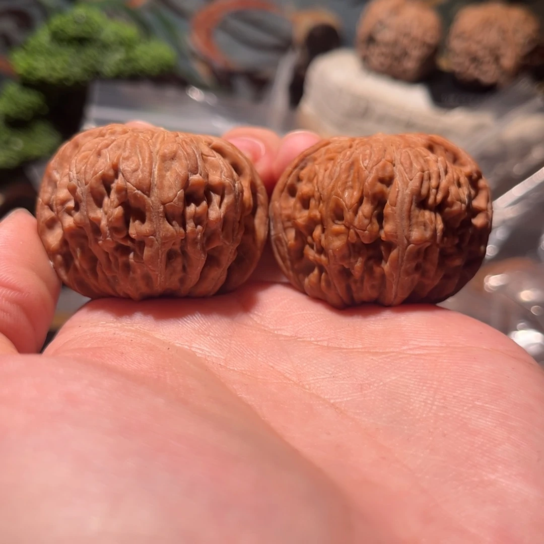 钱****木质41磨盘全品红皮