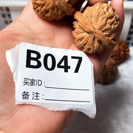 吊坠文玩核桃白狮子