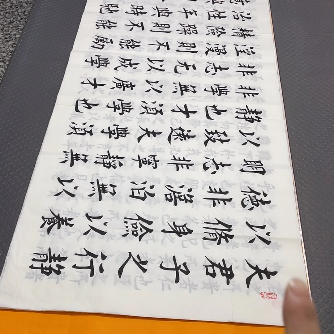 书法老师真人手写杨