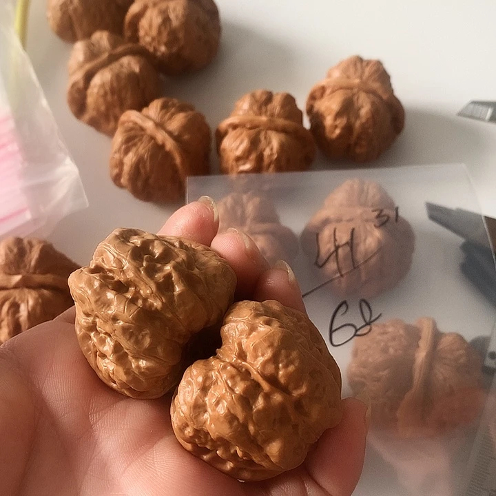 文玩核桃吊坠边41左右