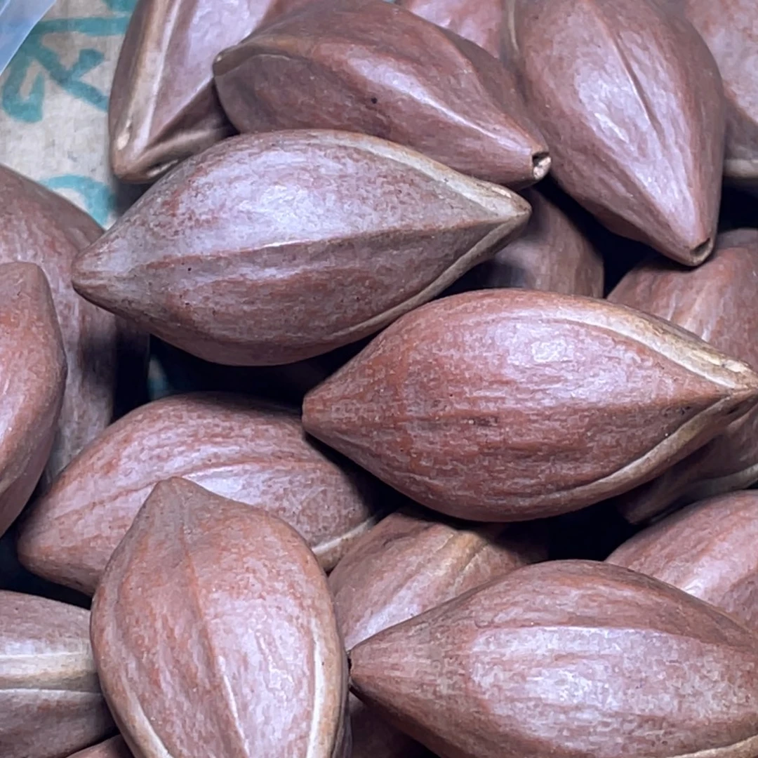 人***态橄榄核吊坠橄榄核