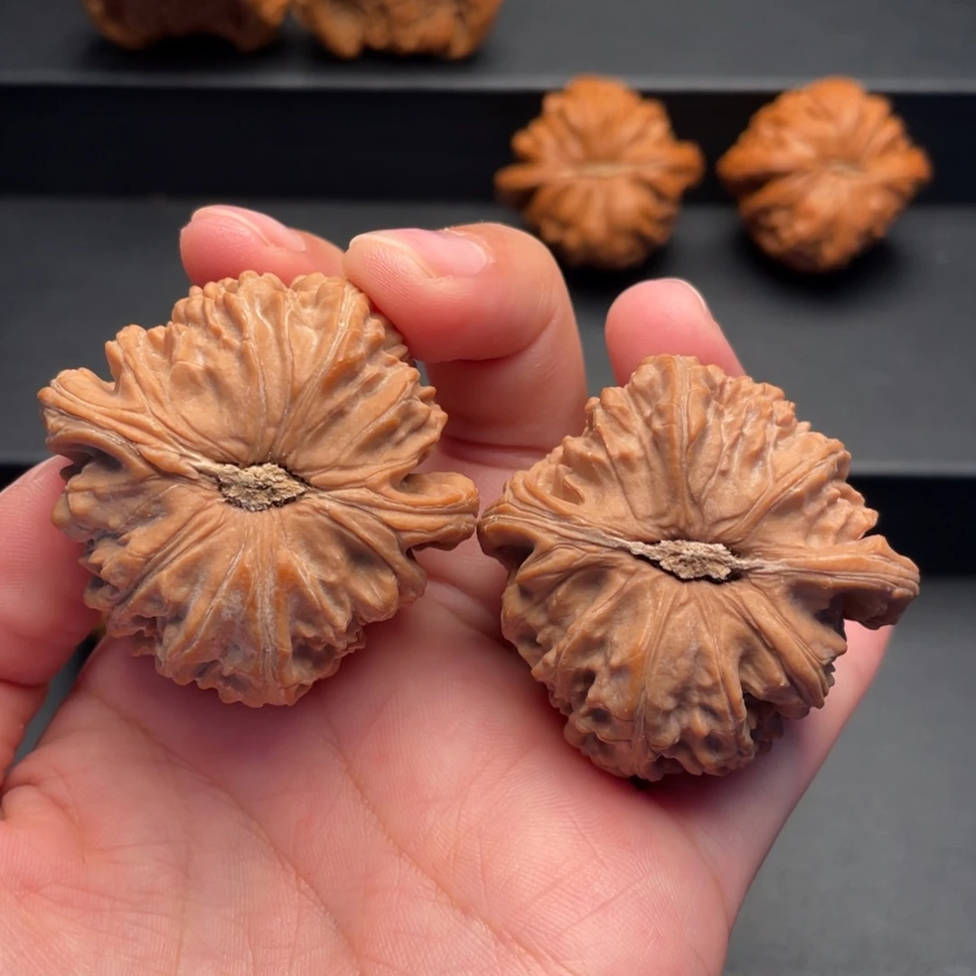 把件文玩核桃白狮子43尺
