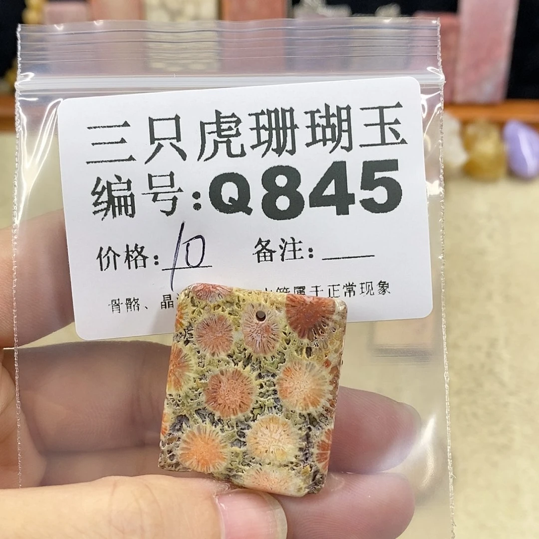 硅化珊瑚（珊瑚玉）1未镶嵌*‍****