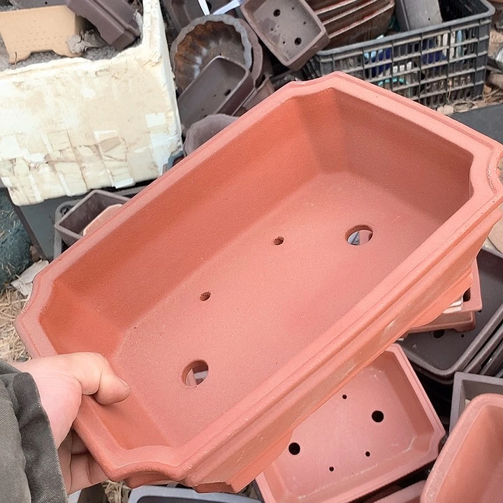 紫砂我要不就是因为