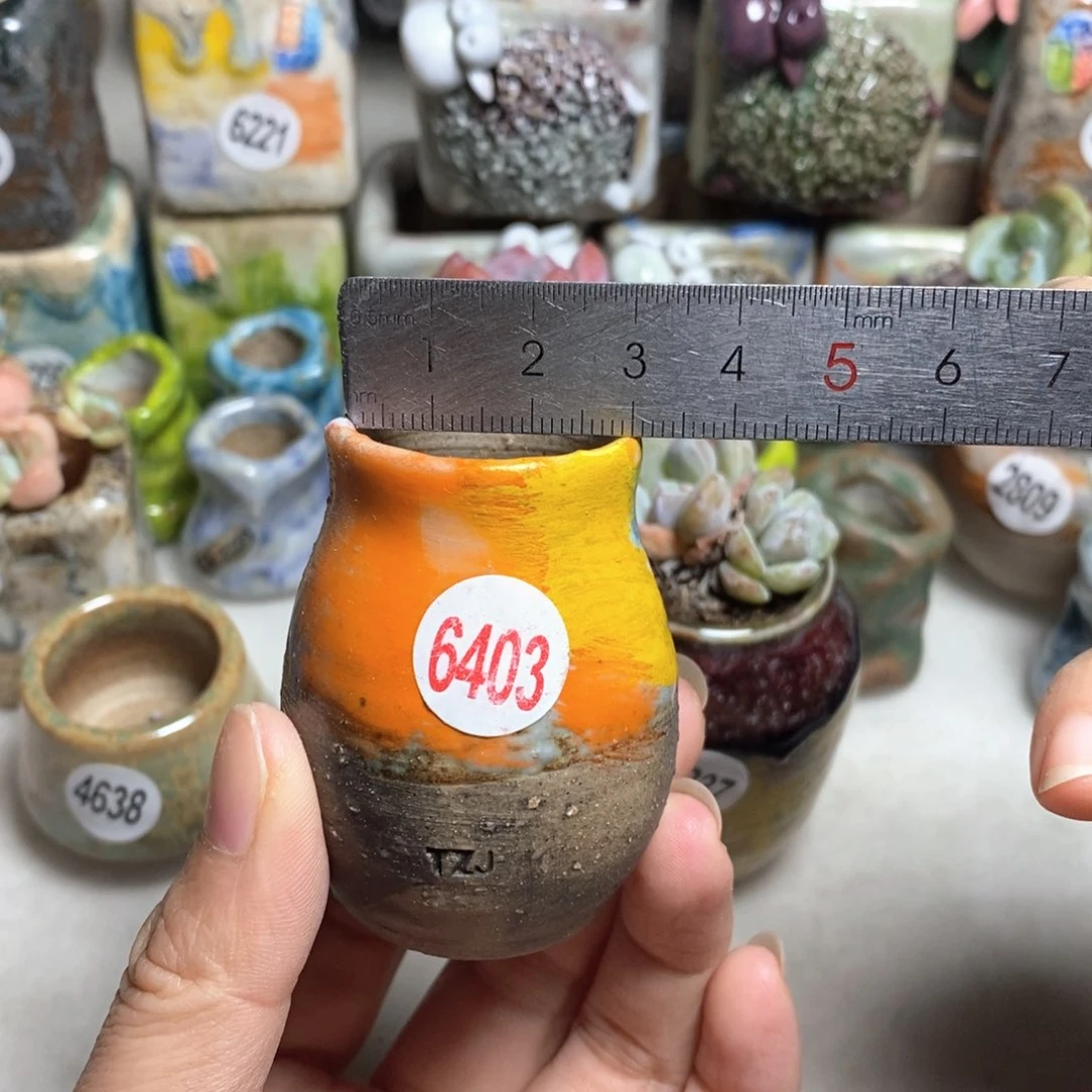 拍5送一个小礼物