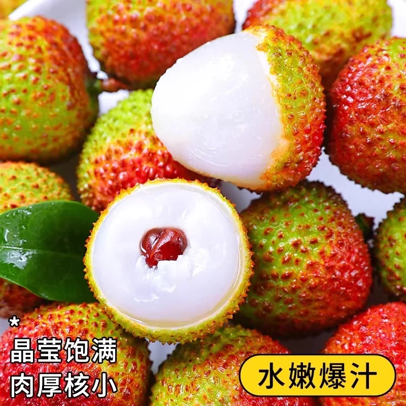 【顺丰次日达】2025广东妃子笑荔枝新鲜采摘直发5斤荔枝同城送广东省