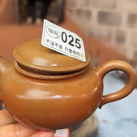 戬谷龙窑柴烧茶壶025