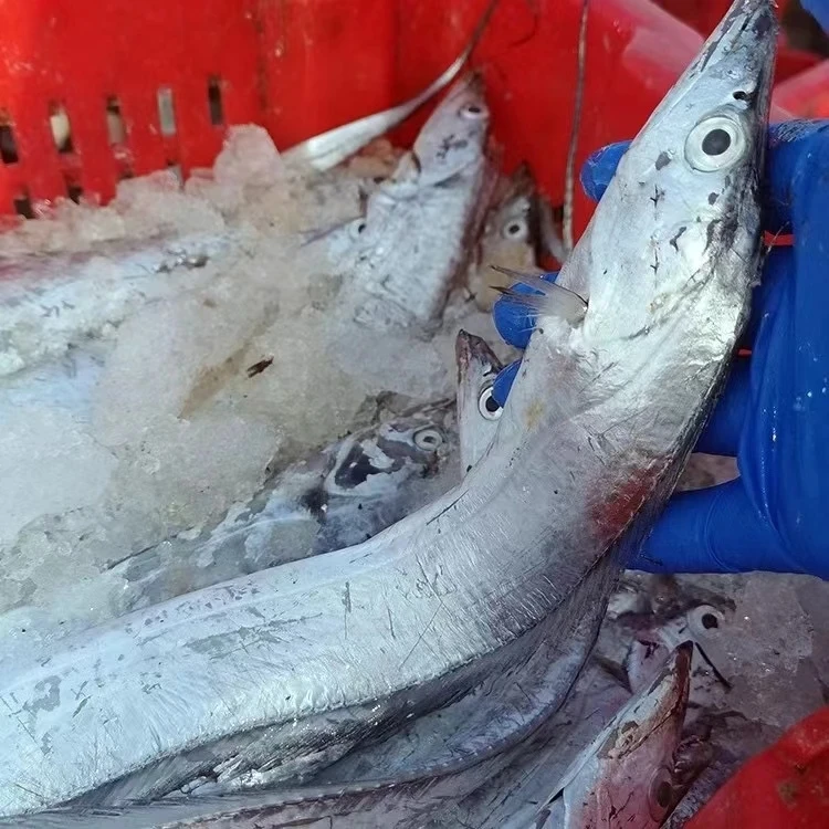 《本地小眼钓带》鲜度好 炸着吃 5斤装 天津发货 介意破肚勿拍