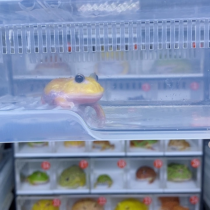 特价秒杀现货特价