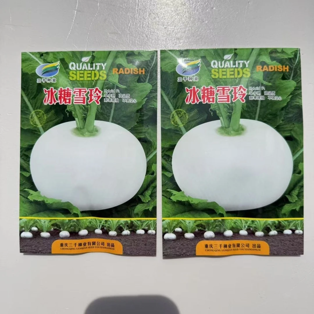 冰糖蔬菜种子新鲜雪玲早中熟黄叶白萝卜种子皮肉雪清甜质蔬菜