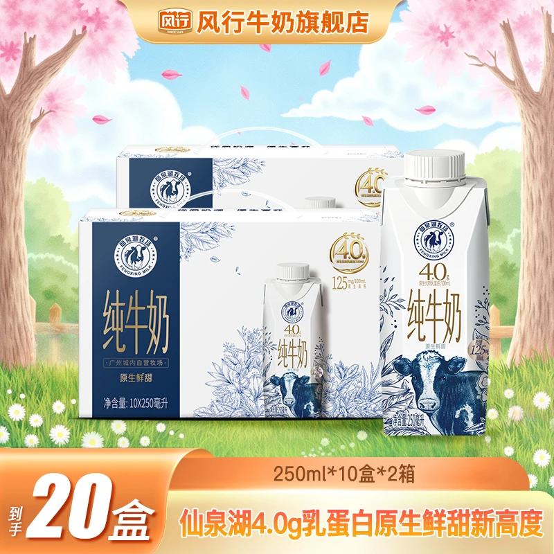 风行4.0g蛋白仙泉湖高端纯牛奶250ml*10盒*2箱