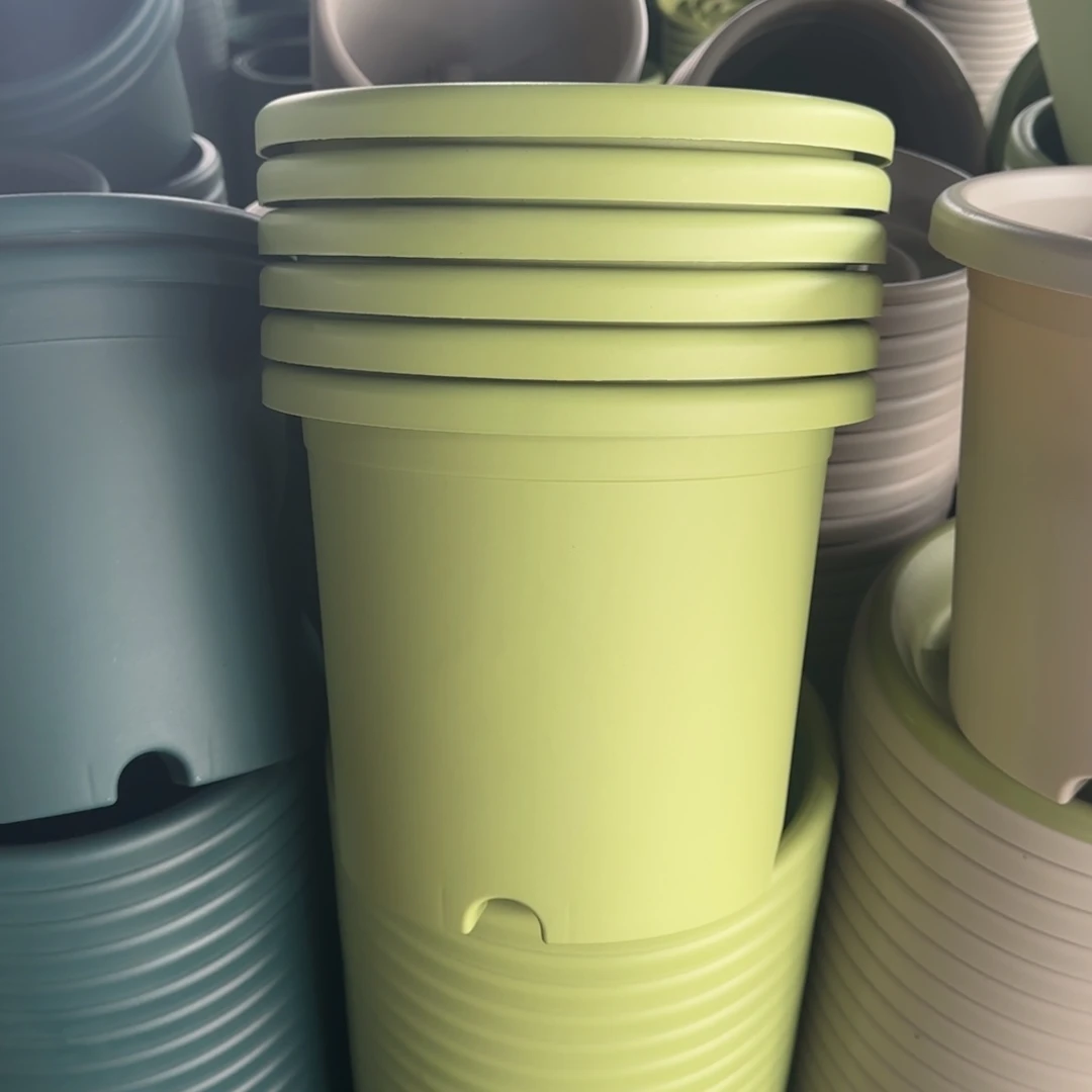 塑料四季4号果绿12个带拖