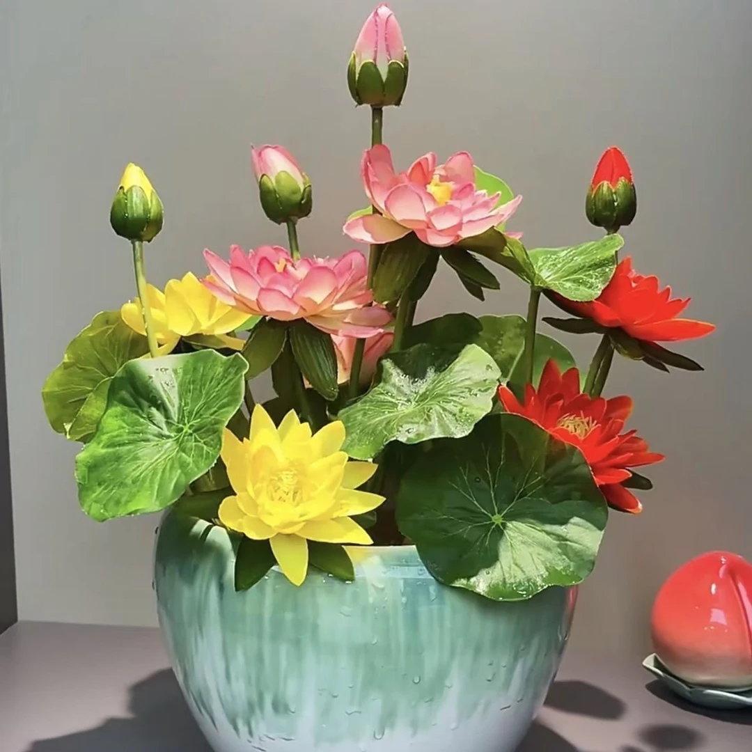 睡莲水培植物荷花带花苞池塘莲花根块水养花卉盆栽花根茎带芽