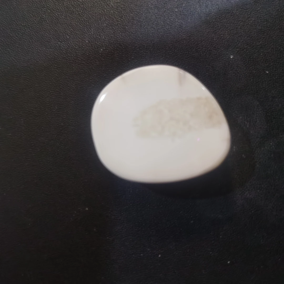 猛犸猛犸虬饼子 WT192