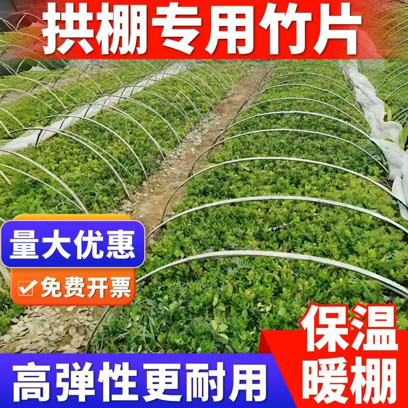 竹片竹条楠竹毛竹板温室龙骨大棚竹篱笆蔬菜架农用搭架竹子栅栏竹