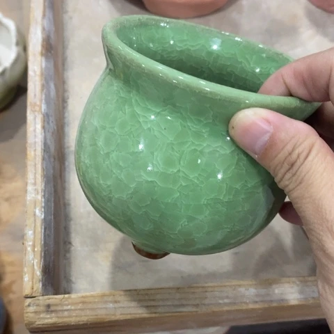 三角冰裂草绿313313134