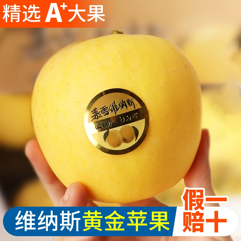 维纳斯黄金苹果70-75mm6枚装正宗烟台苹果新鲜水果当季整箱包邮