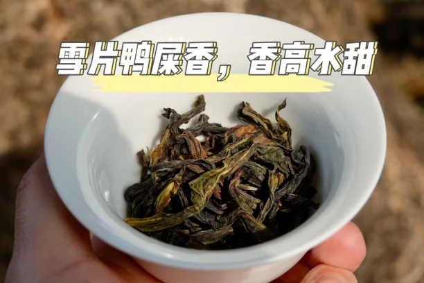 雪片鸭屎香潮州凤凰单丛茶50g试喝装少量尝鲜不好喝不回购
