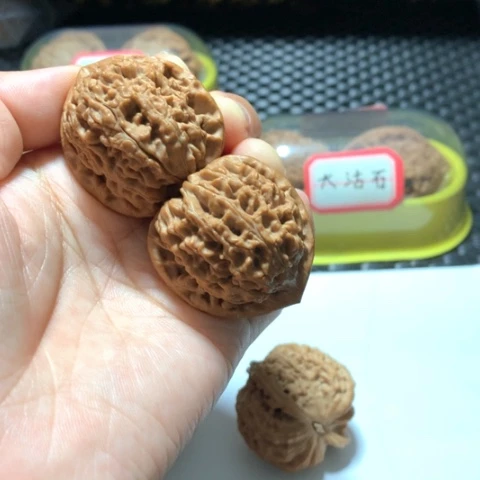 文玩核桃吊坠水龙