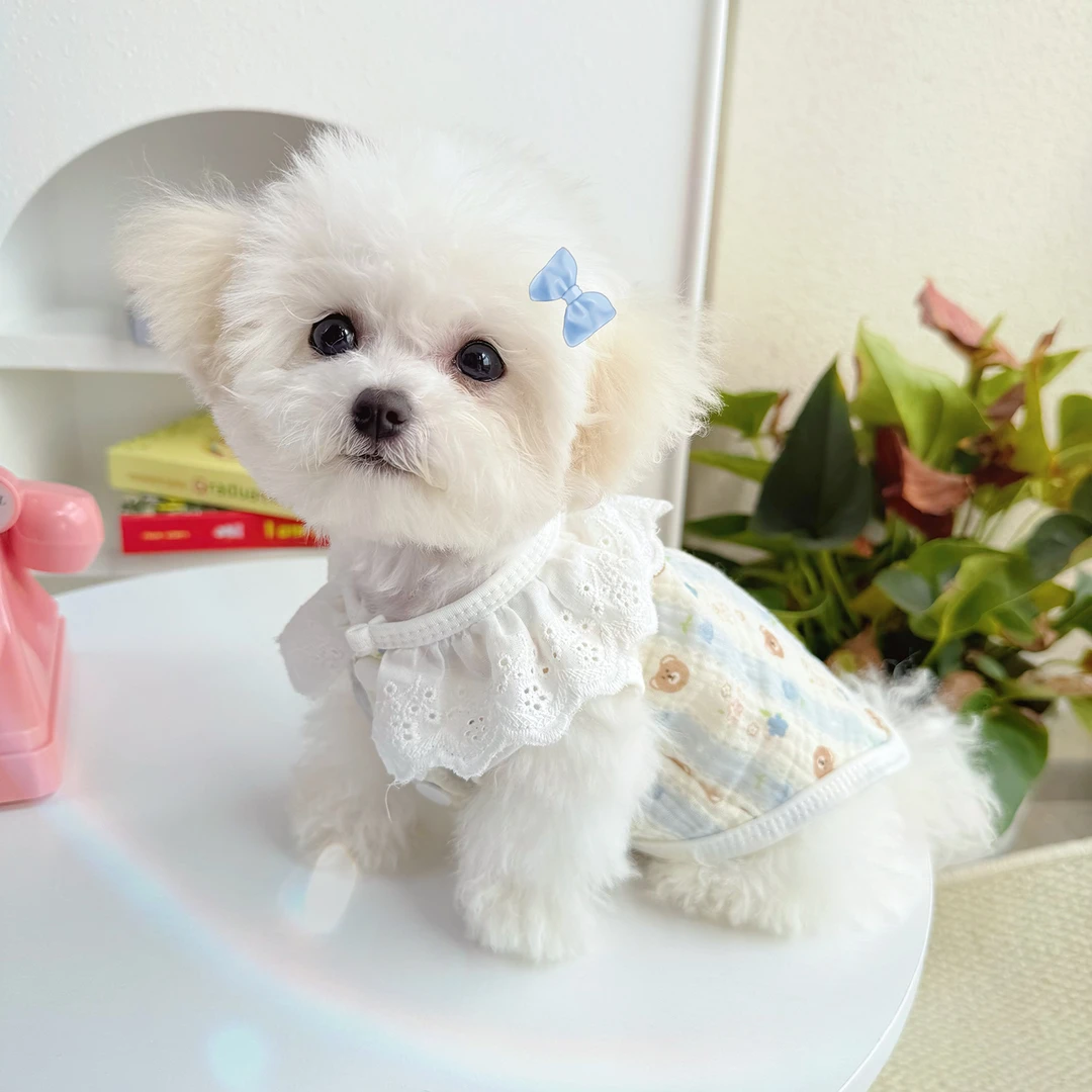 原创春夏棉质蕾丝花边马甲宠物狗狗猫咪衣服泰迪比熊防掉毛空调服