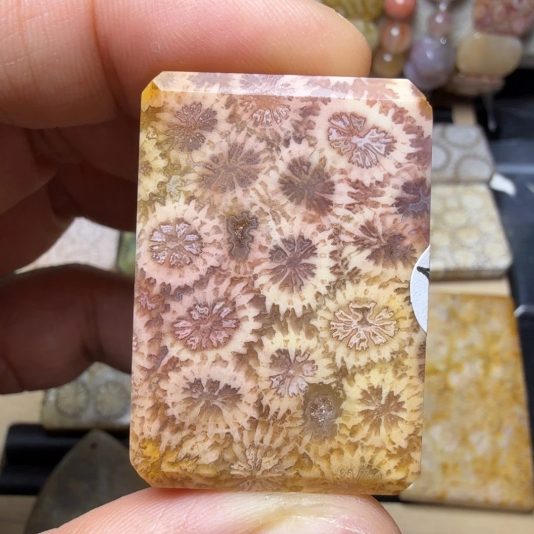 硅化玉未镶嵌天然有机玉石保真色