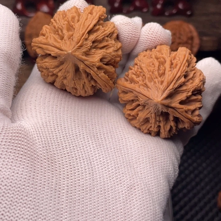 文玩核桃把件秦岭野生九龙筋三棱41全