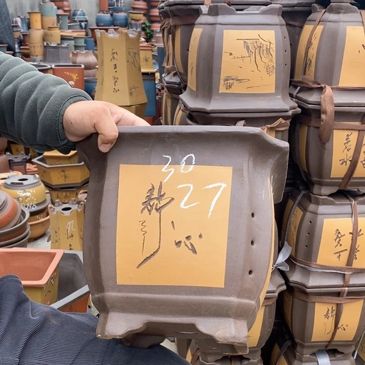 紫砂花盆紫砂花盆盆栽