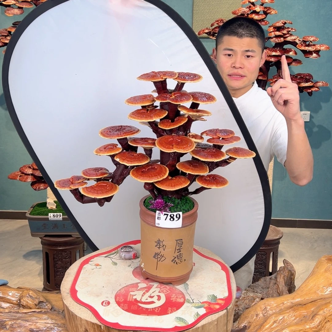 无花朵86688686868686