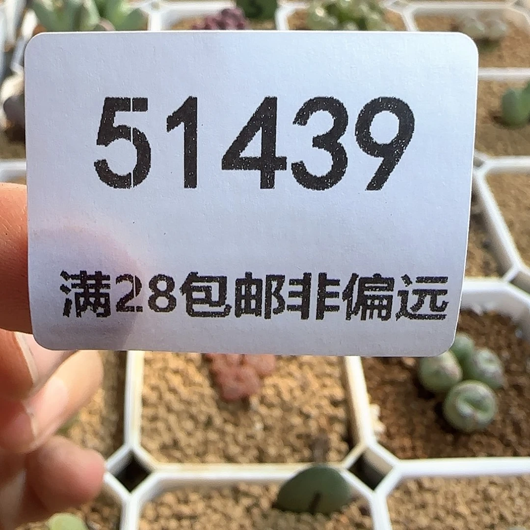 茳***姐哈哈哈哈哈哈哈哈哈51439