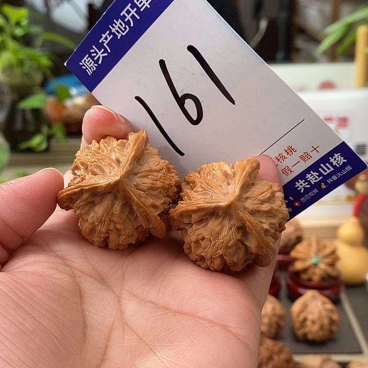把件文玩核桃35天然盘山自然桩奔161号