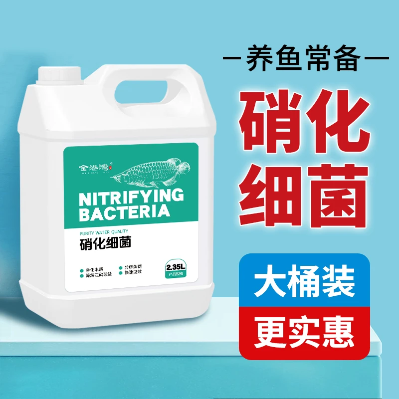 硝化菌降解氨氮鱼缸专用净水剂观赏鱼养鱼培菌水质稳定剂净化水质