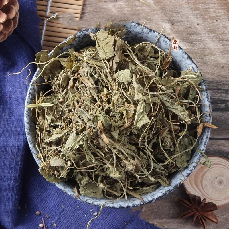 晒干紫花地丁可煮水