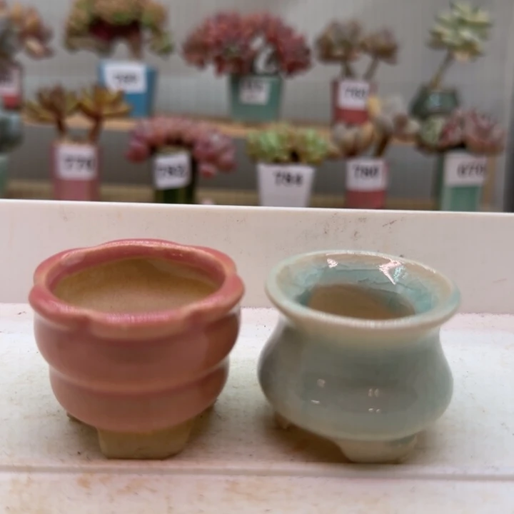 A****专拍满38包邮（除新疆 西藏 内蒙）