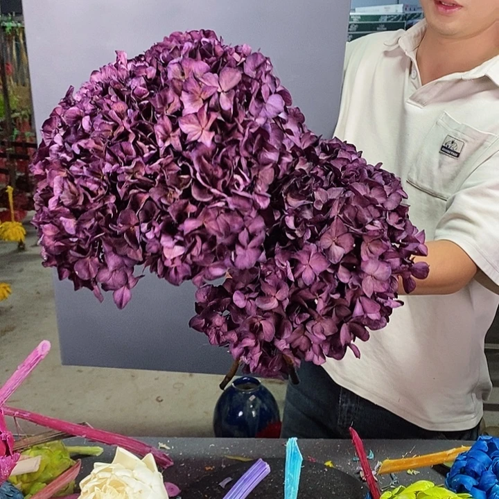 大叶绣球永生花混搭2支