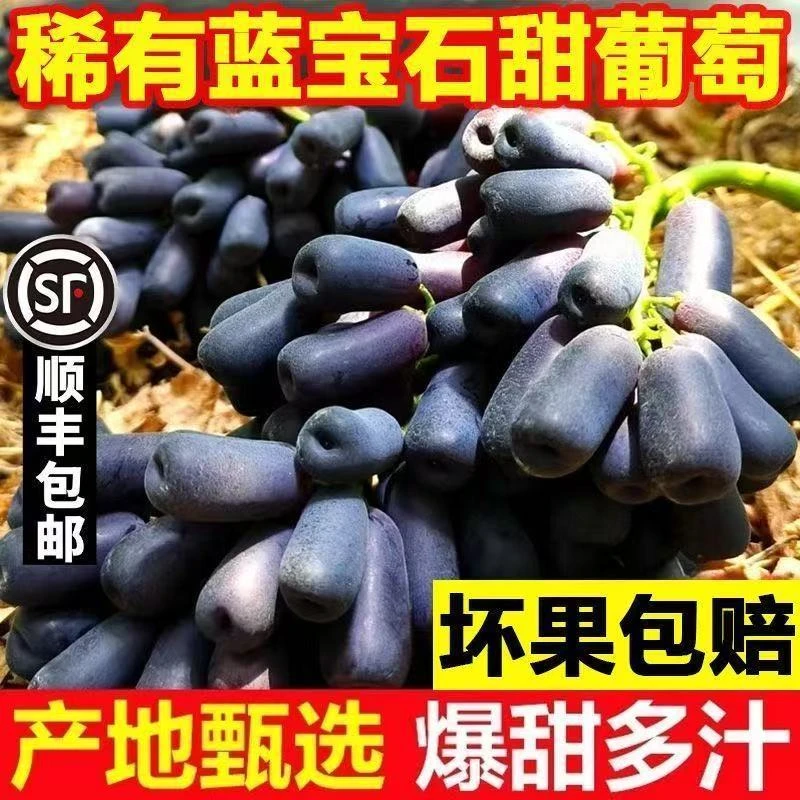 【顺丰包邮】蓝宝石金手指葡萄黑提子新鲜水果孕妇美人指无籽葡萄qc