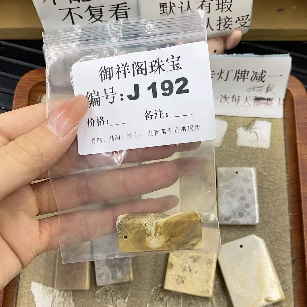 硅化珊瑚（珊瑚玉）未镶嵌颈饰D****?