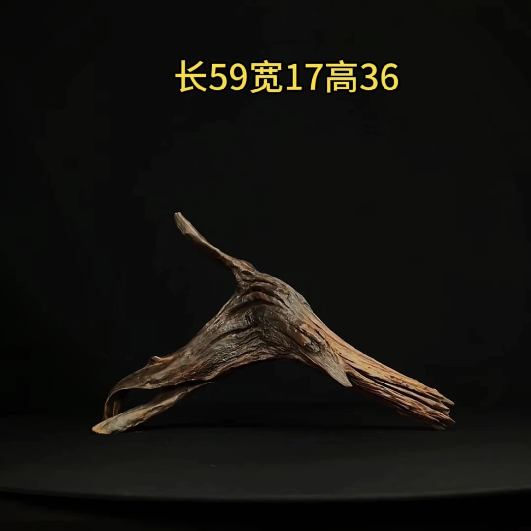 张大狼造景沉木长59cm爆裂拱桥飘枝 南美鱼缸造景 紫柚木秒沉