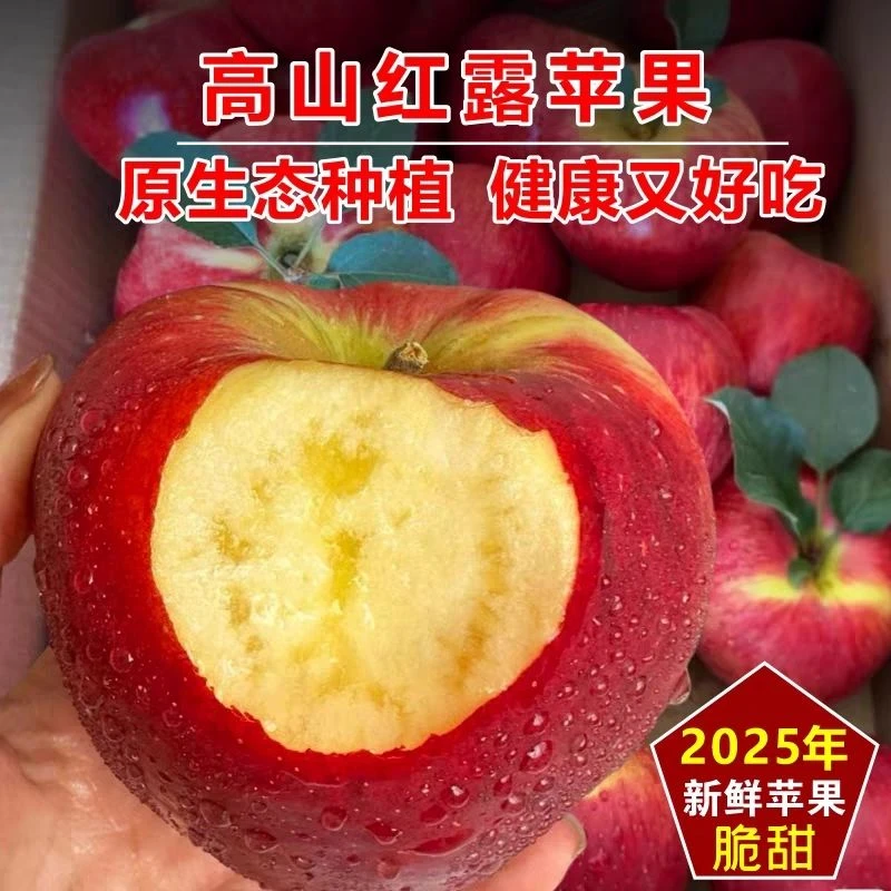 【昭通丑苹果】云南昭通富士冰糖心丑苹果脆甜多汁新鲜采摘自然成熟