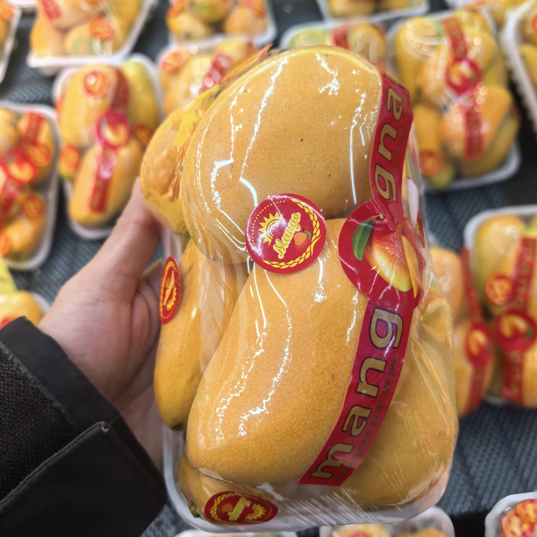 [725g]树熟小台芒果肉紧实柔嫩细腻布丁口感同城配送上门