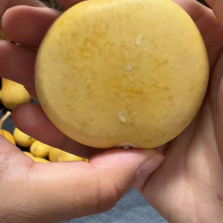 你****坑8888888888888888