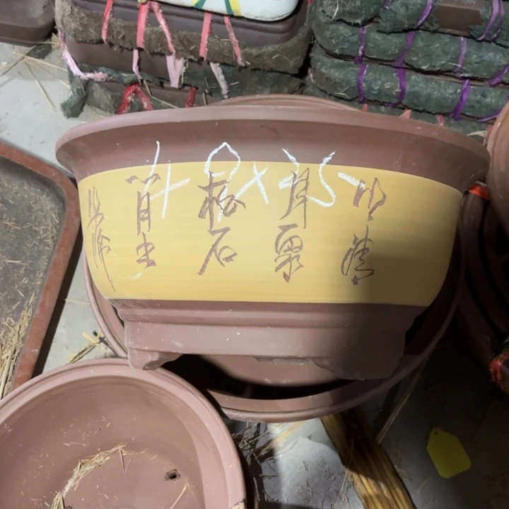 紫砂花盆300-4。  49-25。黄色。 随机送一个盆