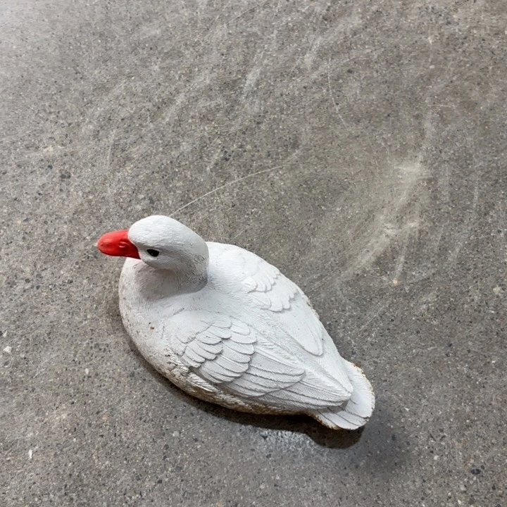 瓷片样品样品样品样品浮水白鸭